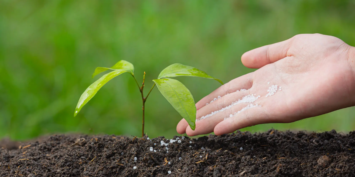 ¿Qué son los biofertilizantes?